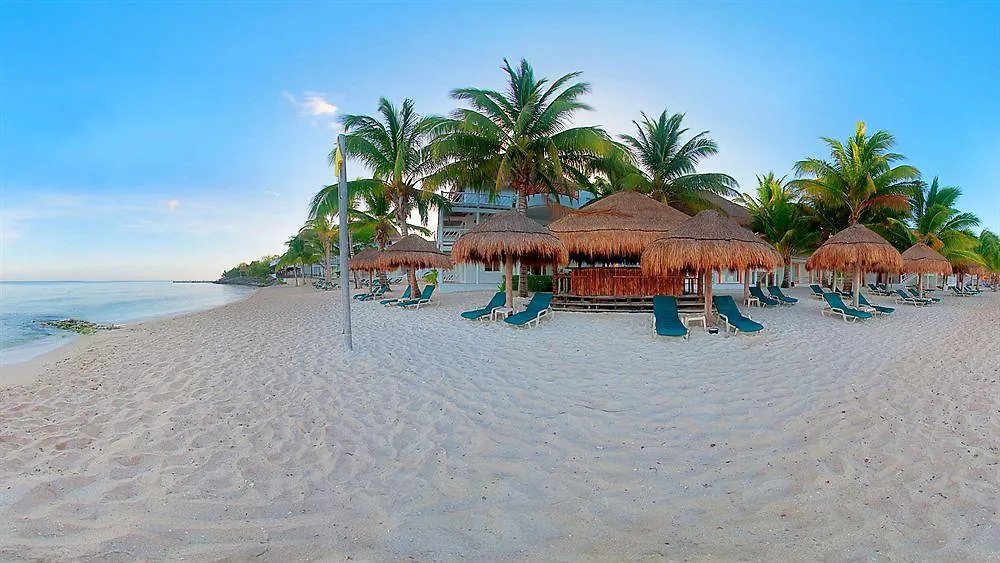 Secrets Aura Cozumel - Adults Only Hotel